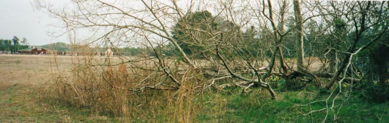 Until the recent construction of an elementary school, Groton Cemetery sat in the midst of cultivated farmland. Now it is about 100 yards beyond the new schools recreational area.