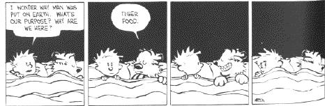 One of my favorite Calvin and Hobbes Comics.