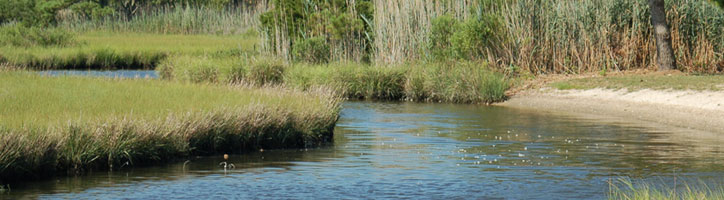 A view of Eel Creek looking South