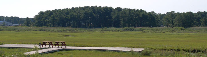 Images show view from most room looking out over the dock and eel creek