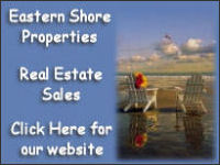 eastern shore properties banner
