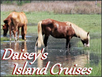 daisey's cruises banner
