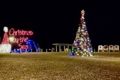 christmas-tree-lit-up