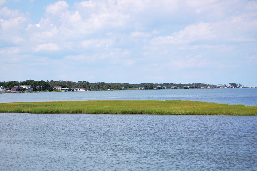 Herons Roost