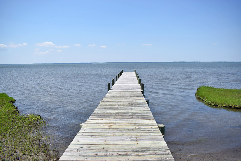 Osprey Nest