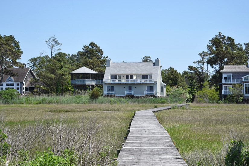 Osprey Nest