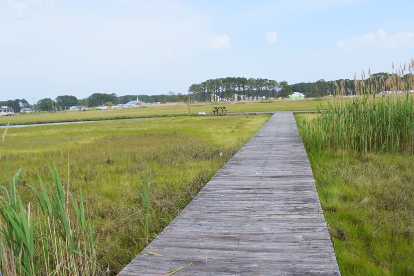 Rise & Shine - Assateague Inn #210