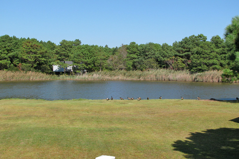 Lake Cottage