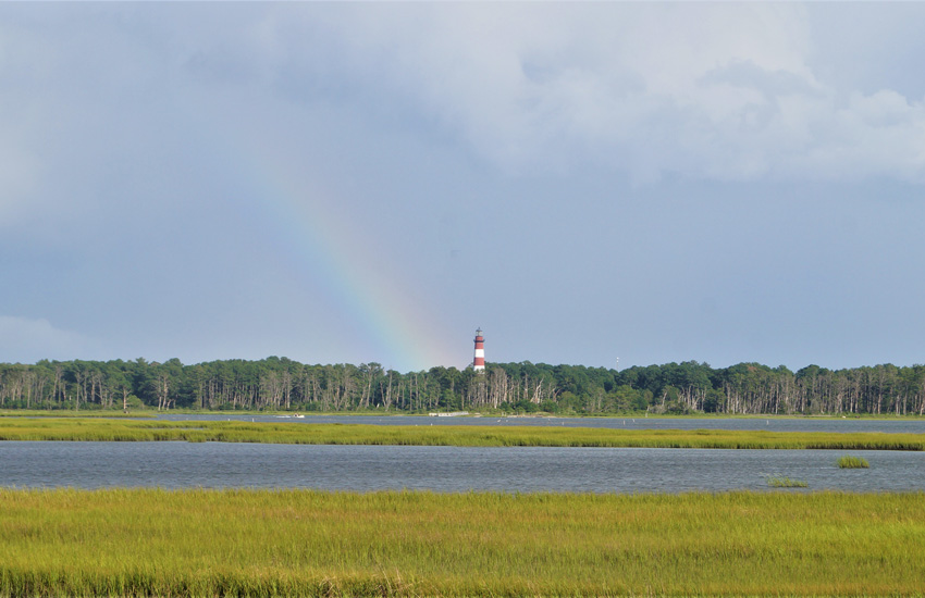 Lighthouse Lookout