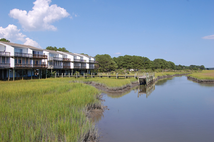 Fiddler Bay #5