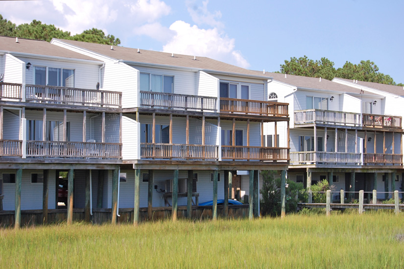 Fiddler on the Creek
