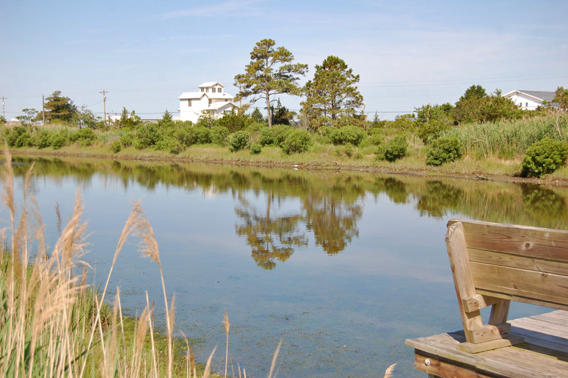 Millers' Marsh