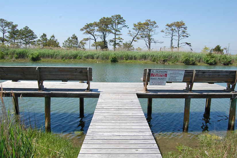 Millers' Marsh